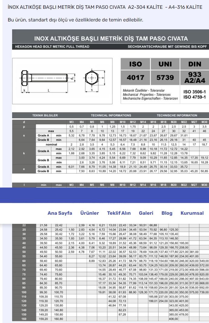 Ekran görüntüsü_12-1-2025_11426_www-paslanmazcivata-tr