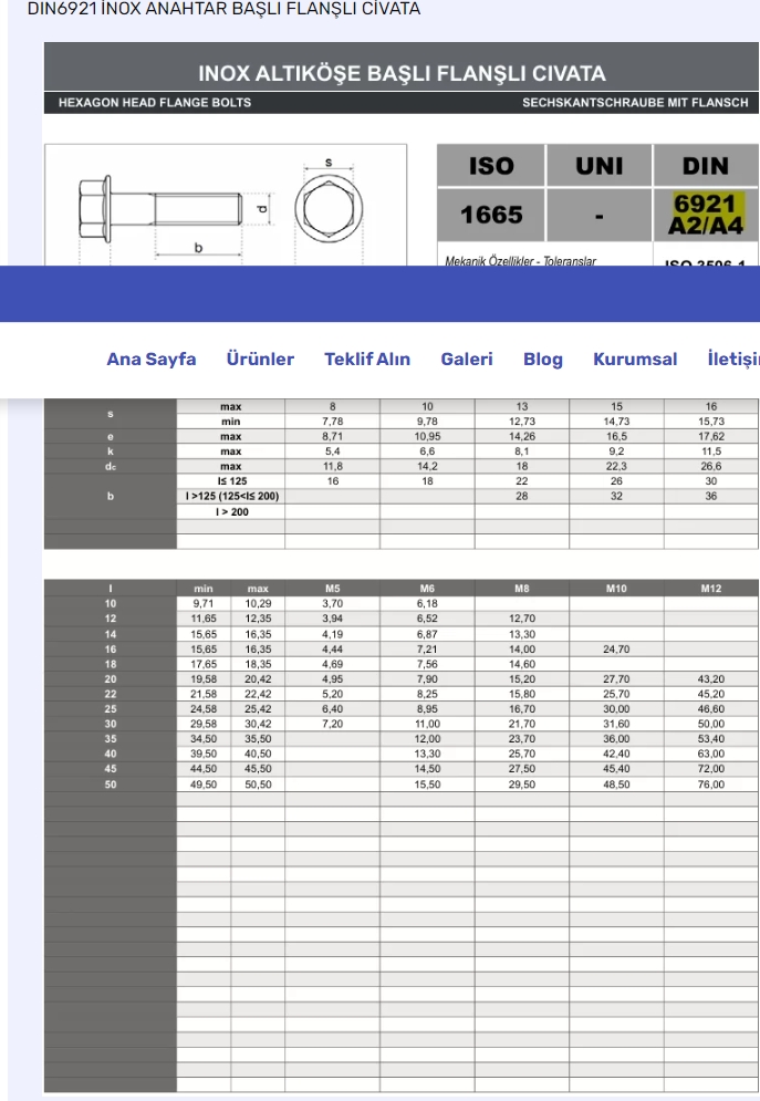 Ekran görüntüsü_12-1-2025_12021_www-paslanmazcivata-tr