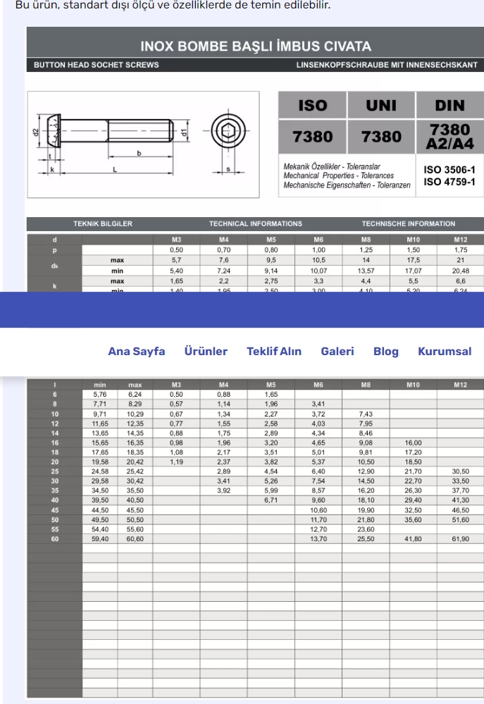 Ekran görüntüsü_12-1-2025_12710_www-paslanmazcivata-tr