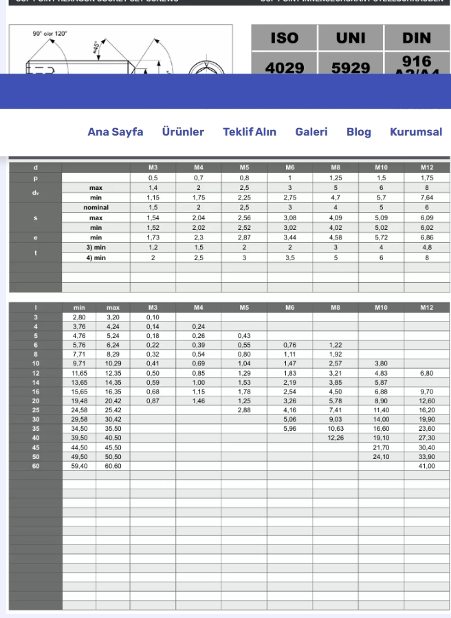Ekran görüntüsü_12-1-2025_1455_www-paslanmazcivata-tr