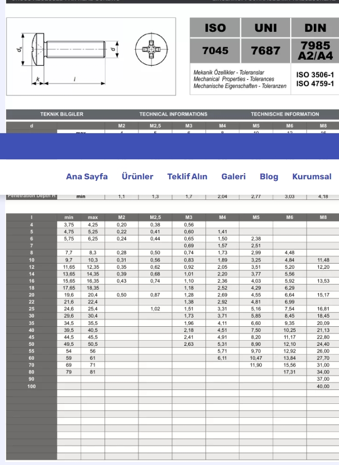 Ekran görüntüsü_12-1-2025_2151_www-paslanmazcivata-tr