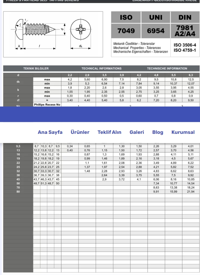 Ekran görüntüsü_12-1-2025_2234_www-paslanmazcivata-tr